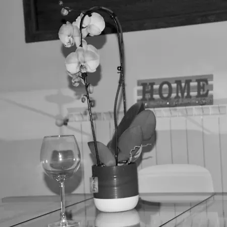 Brand New Appartement Florence